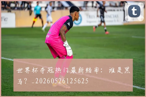 世界杯夺冠热门最新赔率：谁是黑马？_20260526125625